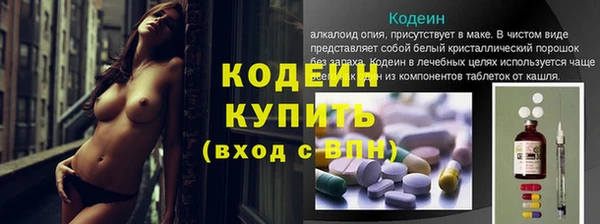 прущие крисы Инсар