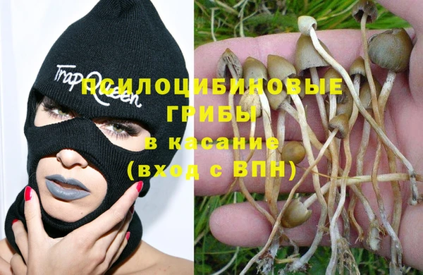 прущие крисы Инсар