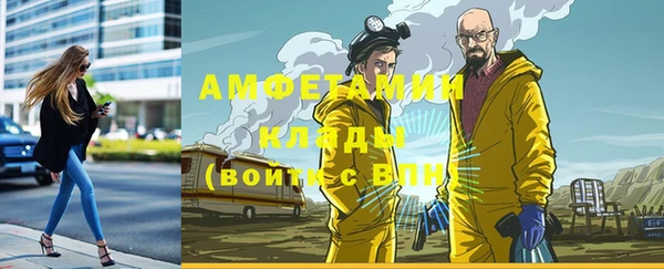 прущие крисы Инсар