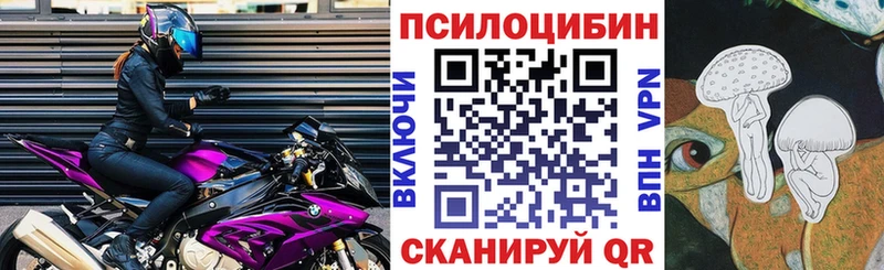 ссылка на мегу   Кимовск  это как зайти  Галлюциногенные грибы Psilocybe 